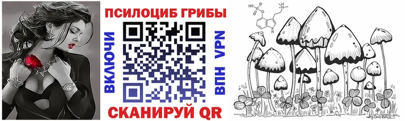 Галлюциногенные грибы GOLDEN TEACHER Новоузенск